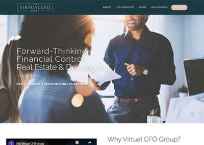 The Virtual CFO Group