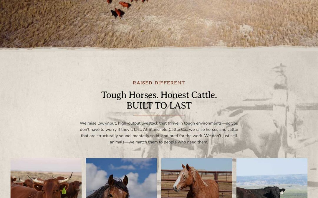 Cattle Ranch Website Design